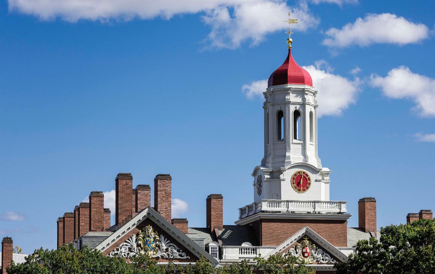 Dear Harvard, It’s Time to Reject Fossil Fuel Money