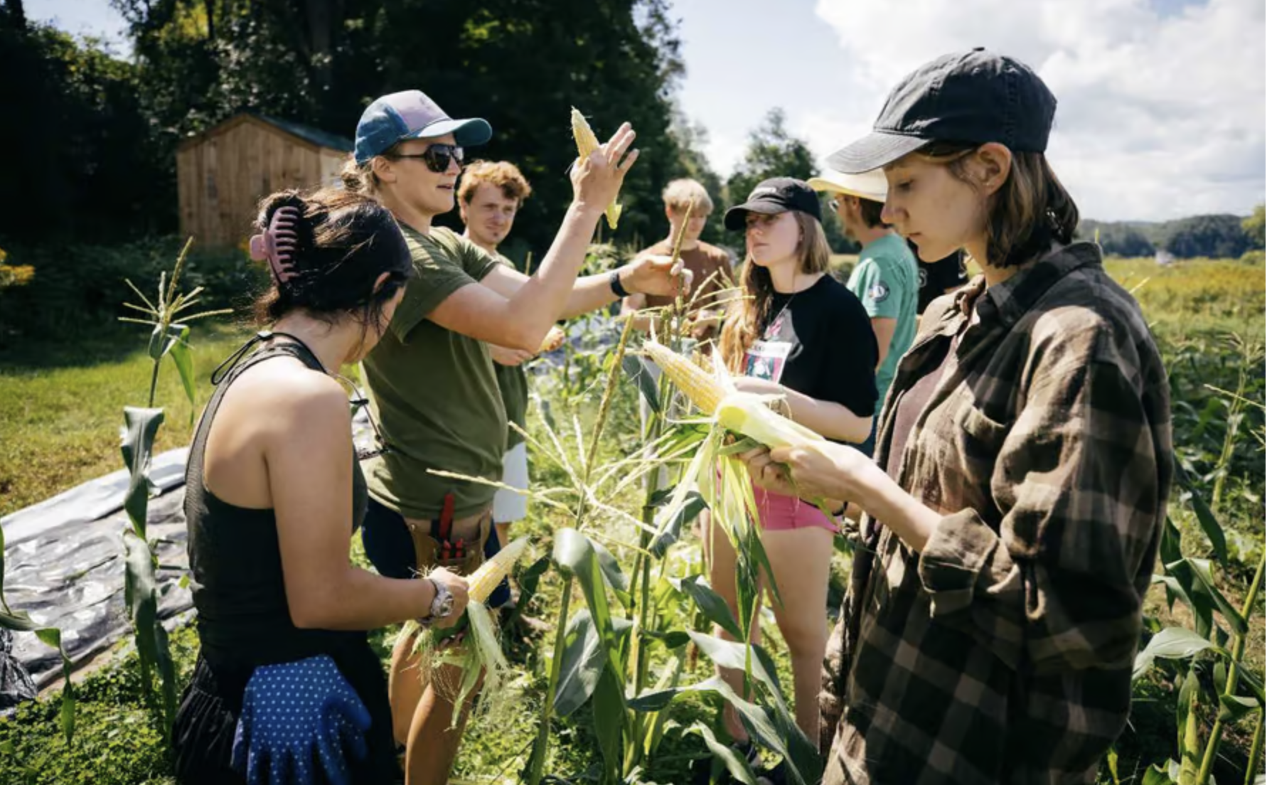 Do University Farms Truly Teach Sustainability?