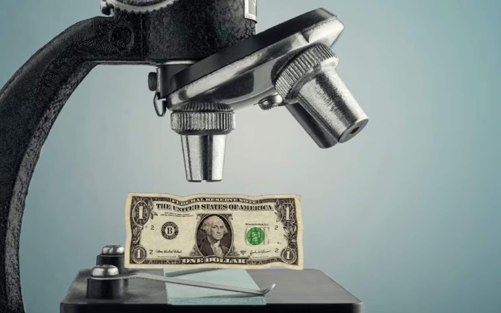 How Scientific Publishers’ Extreme Fees Put Profit Over Progress