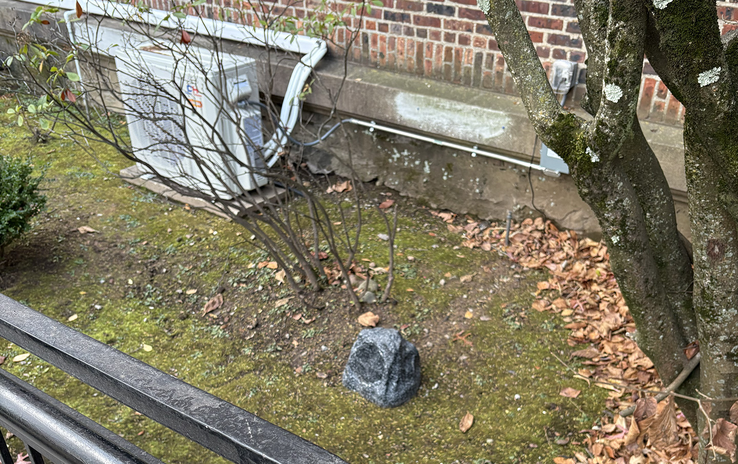 Setting the Tone: Dr. Thomas López Ushers in New Era of Music at Poly