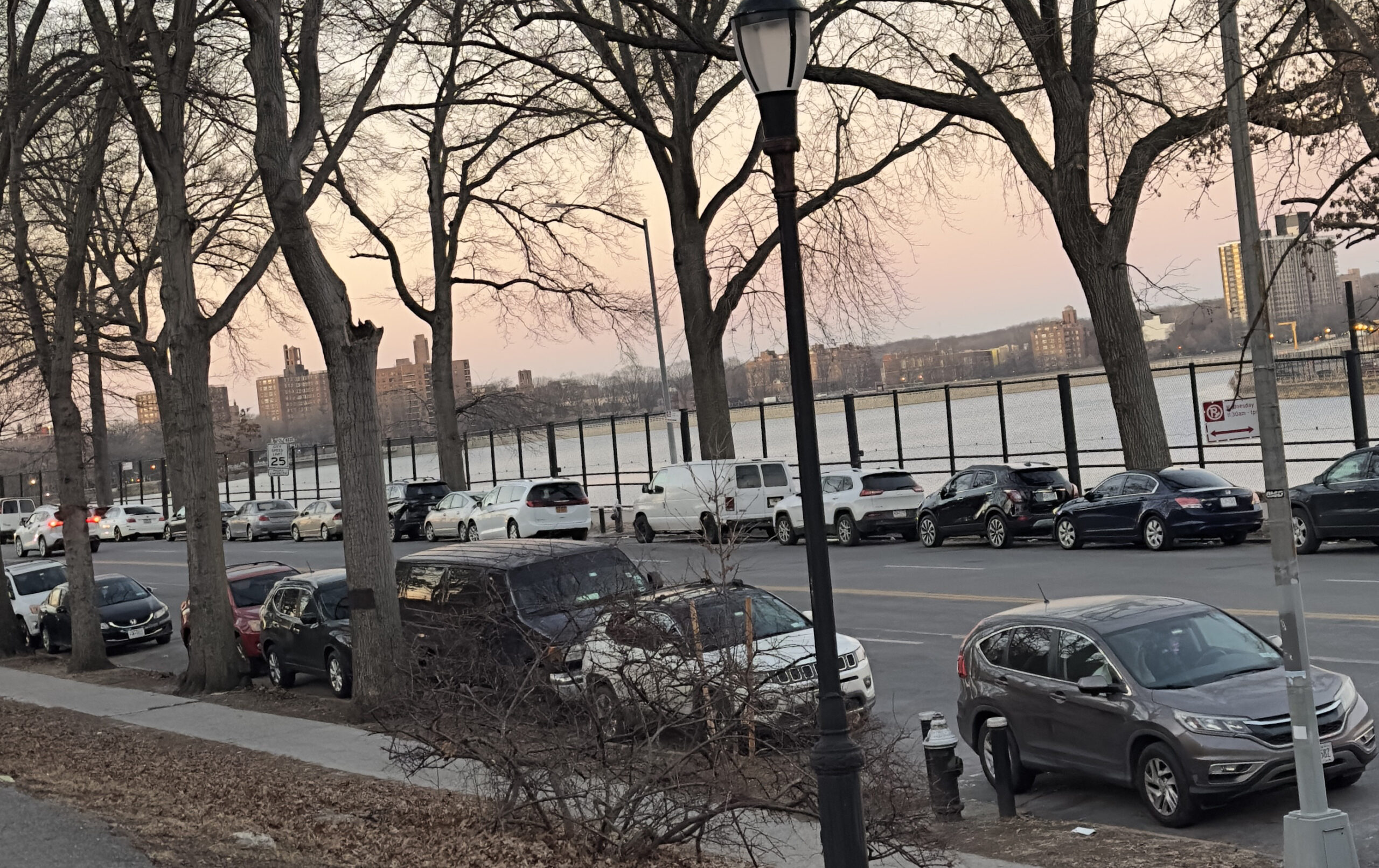 New York City’s Environmental Inequalities: Green Space for All