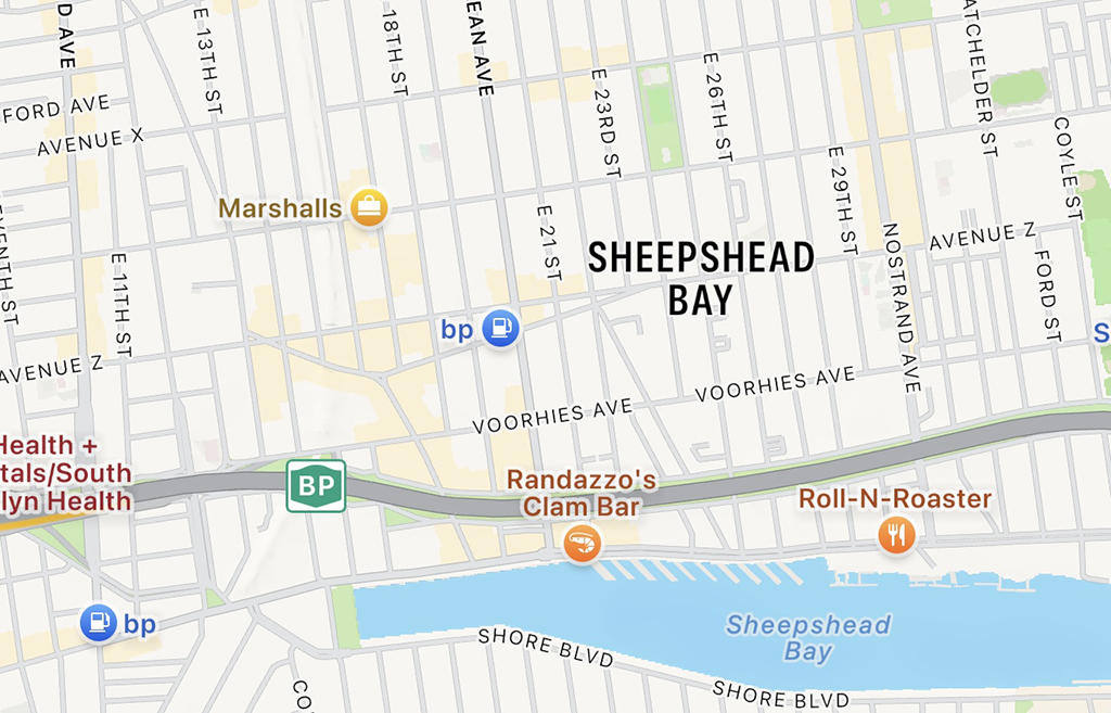 The Changing Business Landscape of Sheepshead Bay